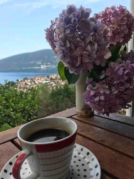 Magnificent Views Apartment Herceg Novi Esterno foto